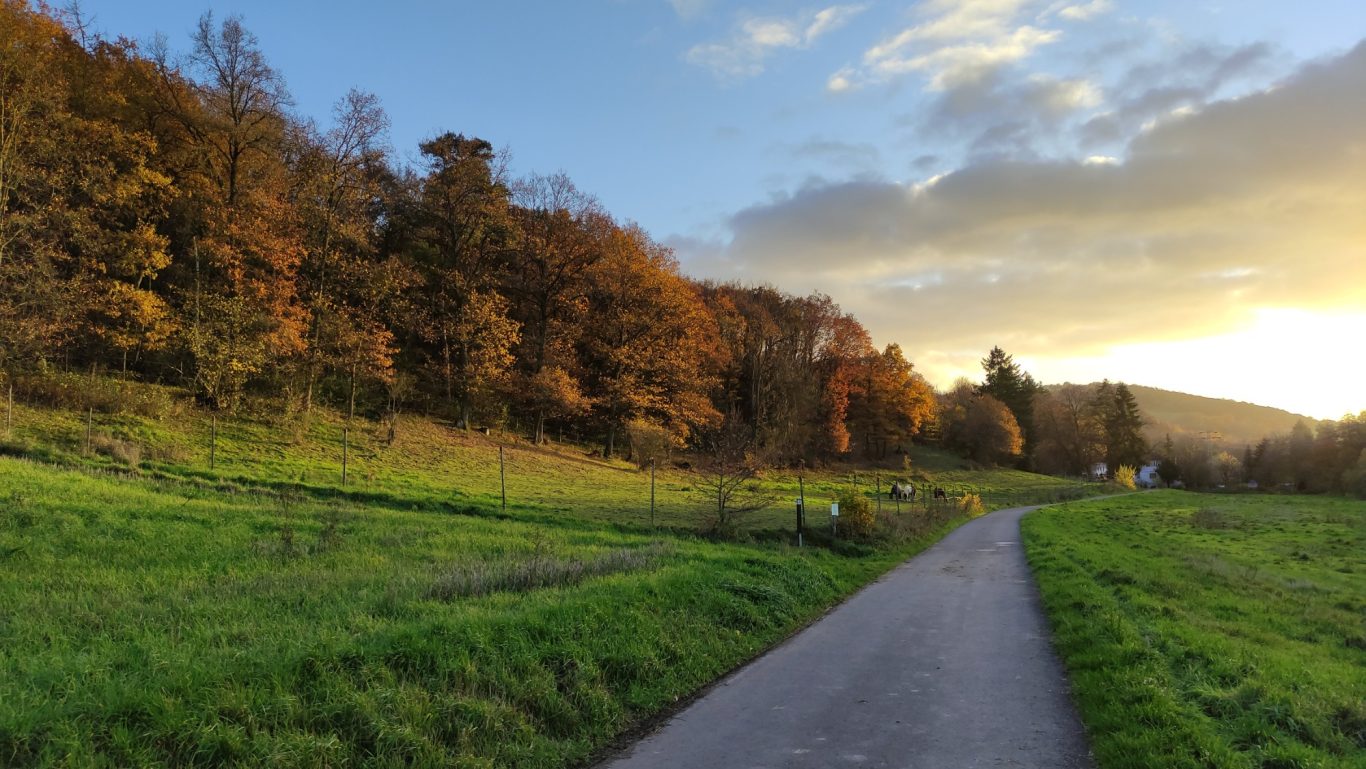 Appeltalradweg